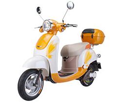 飄洋電動(dòng)車(chē)加盟 全程扶持，助您輕松創(chuàng)業(yè)無(wú)憂(yōu)